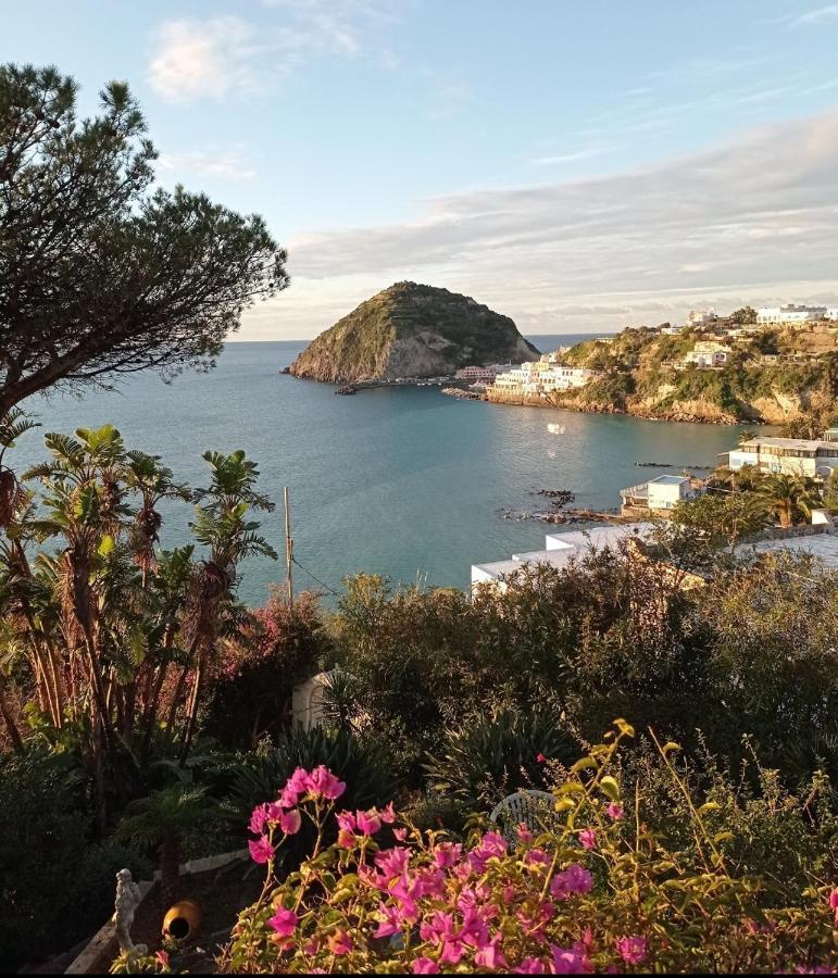 Mare Nostrum - Beachfront House - Sant'Angelo Ischia Ngoại thất bức ảnh
