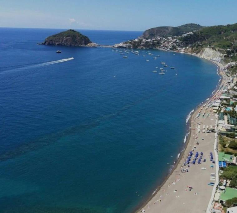 Mare Nostrum - Beachfront House - Sant'Angelo Ischia Ngoại thất bức ảnh