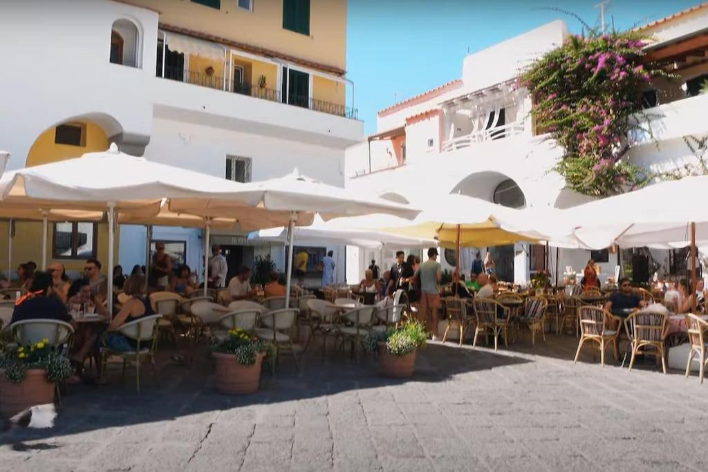 Mare Nostrum - Beachfront House - Sant'Angelo Ischia Ngoại thất bức ảnh