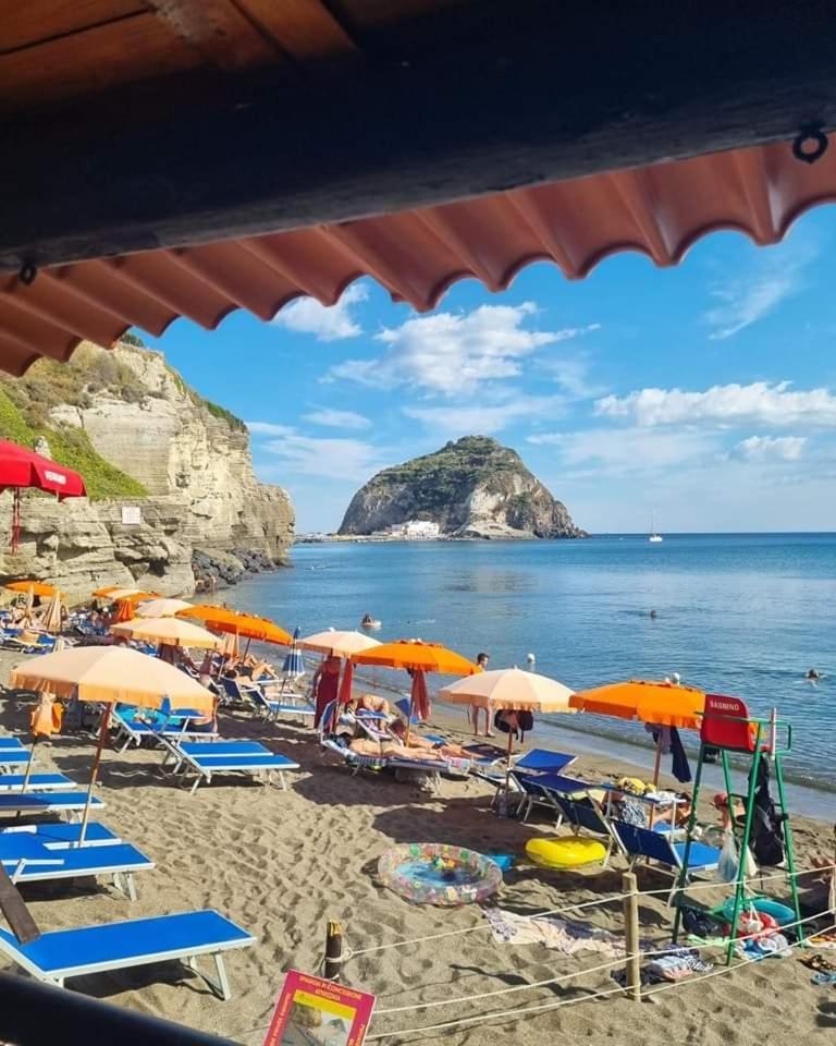 Mare Nostrum - Beachfront House - Sant'Angelo Ischia Ngoại thất bức ảnh